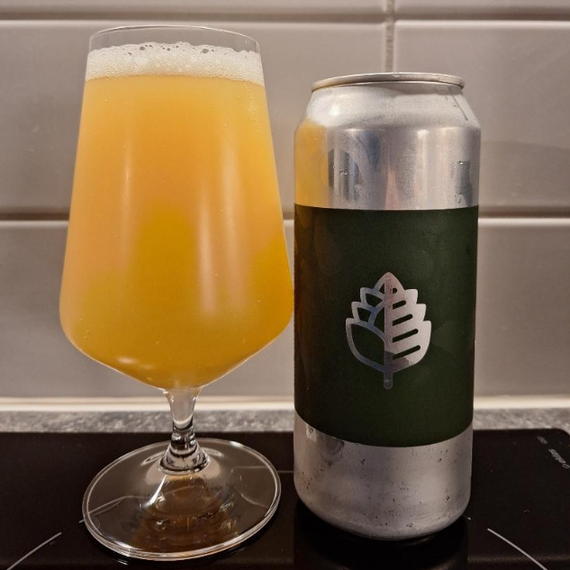 Wood Brothers - Double Triple Citra