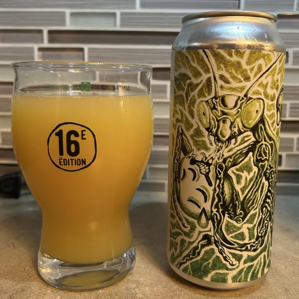 Brasserie du Bas Canada – Mante Trolligieuse
ABV: 8,1 % | Untappd: 4,30

Mante Trolligieuse er en saftig og aromatisk Double IPA, hvor Brasserie du Bas Canada udnytter en dyb humleprofil til at skabe et levende og tropisk udtryk.