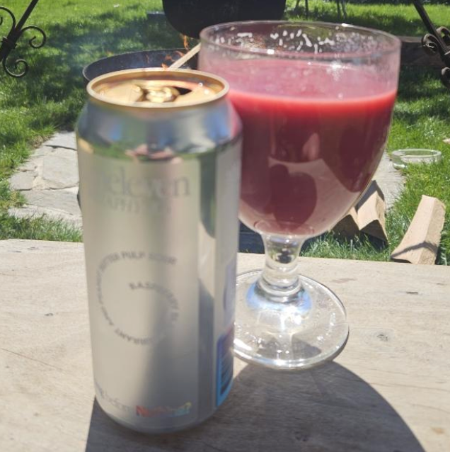 Elmeleven – Just Before The Bang (PULP)

ABV: 5,0 % | Stil: Smoothie / Pastry Sour | Untappd: 4,27

En massiv og dessertdrevet smoothie sour fra Elmeleven, hvor frugt og adjuncts skubber den helt over i den tunge, næsten milkshake-agtige ende af PULP-serien.