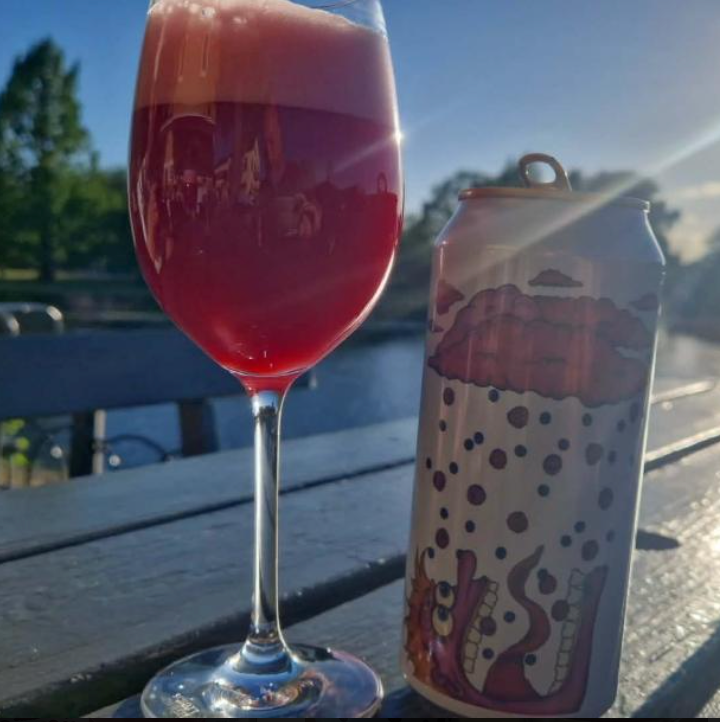 Fermenterarna – Wild Berry Shower

ABV: 8,0 % | Stil: Fruited Sour | Untappd: 4,00

En intens frugtsour fra Fermenterarna spækket med solbær, brombær, hindbær og blåbær. Her er fokus på modne bær, saftig fylde og en flot balance mellem sødme og syrlighed.