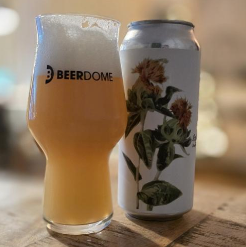 Fidens Brewing Co Safflower
ABV: 7,0 % | Untappd: 4,40

Safflower er en saftig og aromatisk IPA med en frisk frugtprofil og blød, indbydende karakter.