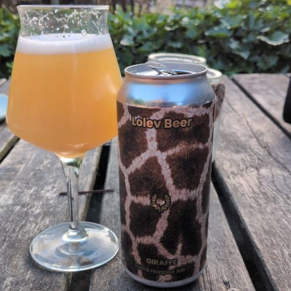 Lolev Beer – Giraffe

ABV: 8,5 % | Stil: Double New England IPA | Untappd: 4,33

Giraffe er endnu en tung humlebombe fra Lolev Beer. Brygget med Citra, Riwaka, Moutere, Nelson Sauvin, Citra Incognito og NZ Cascade Hop Kief, hvilket giver en massiv aroma af tropisk frugt, citrus og klassiske New Zealand-humler. Resultatet er en blød, saftig og ekstremt aromatisk DIPA med imponerende balance.