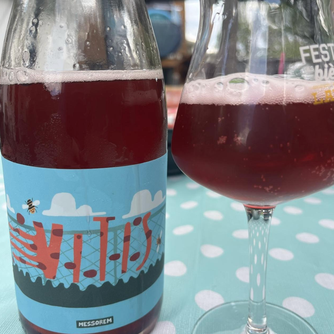 Messorem – Vitis Riparia (2025)

ABV: 6,8 % | Stil: Wild Ale | Untappd: 4,03

Vitis Riparia (2025) er en elegant og kompleks wild ale skabt som et blend af fadlagrede vilde ales med Vitis Riparia-druer. Vitis Riparia er en nordamerikansk vild druesort, som tilfører øllen en markant vinøs karakter og et spændende samspil mellem frugt, syre og fadlagring. Resultatet er en øl, der bevæger sig i grænselandet mellem øl og naturvin.