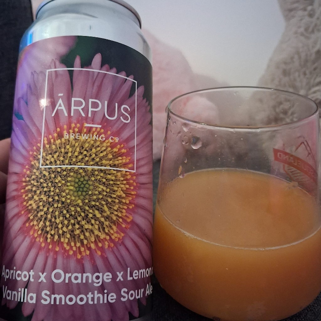 Ārpus Brewing Co – Apricot × Orange × Lemon × Vanilla Smoothie Sour Ale