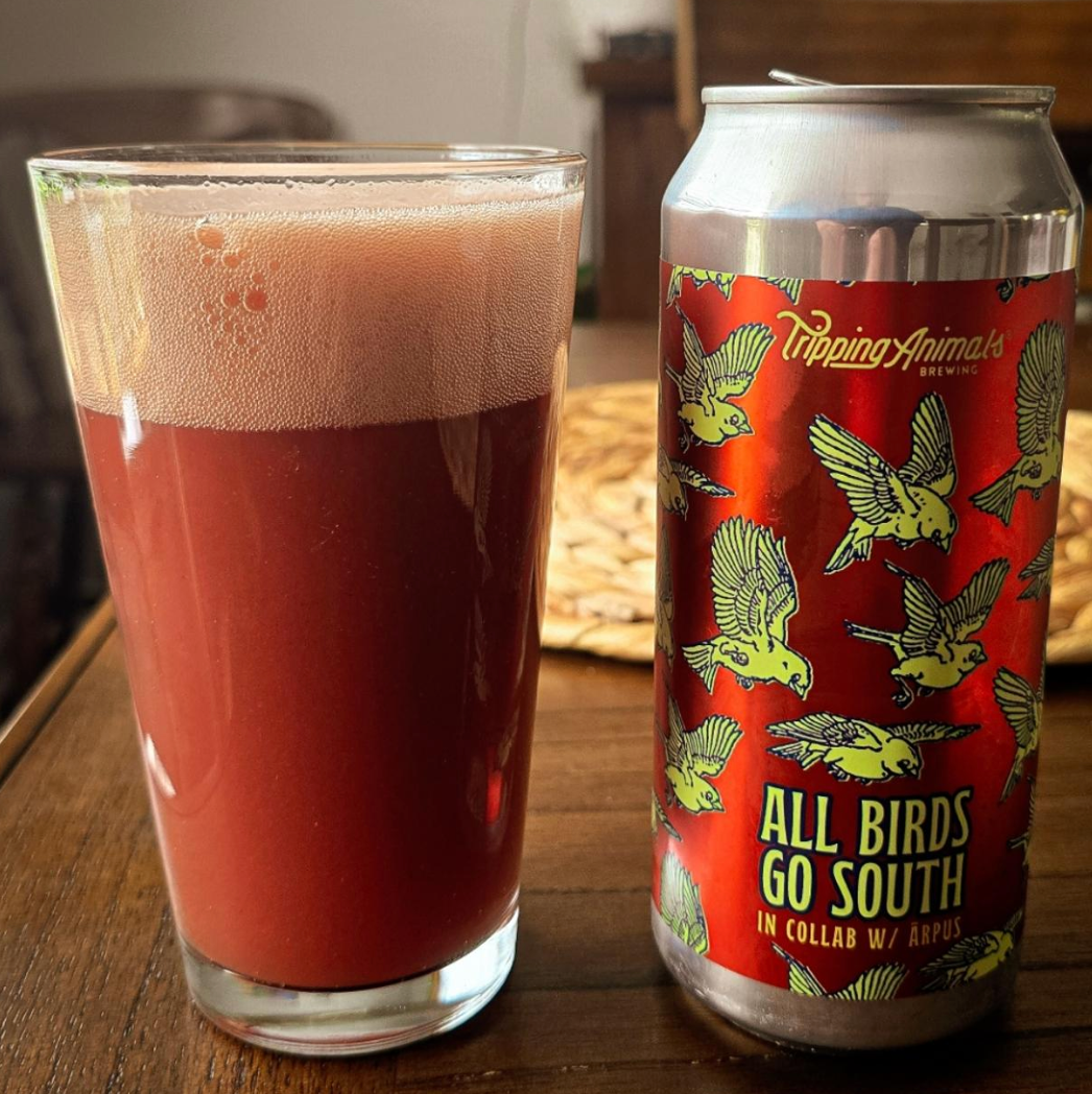 Tripping Animals Brewing Co x Ārpus Brewing Co – All Birds Go South
ABV: 6,0 % | Stil: Sour – Fruited | Untappd: 3,94

Et collab mellem amerikanske Tripping Animals og lettiske Ārpus Brewing Co, hvor tropisk frugt, bær og cremet sødme går hånd i hånd med frisk syre i en let og frugtagtig sour.