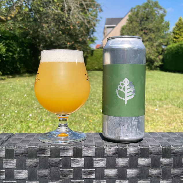 Wood Brothers - Double Triple Citra